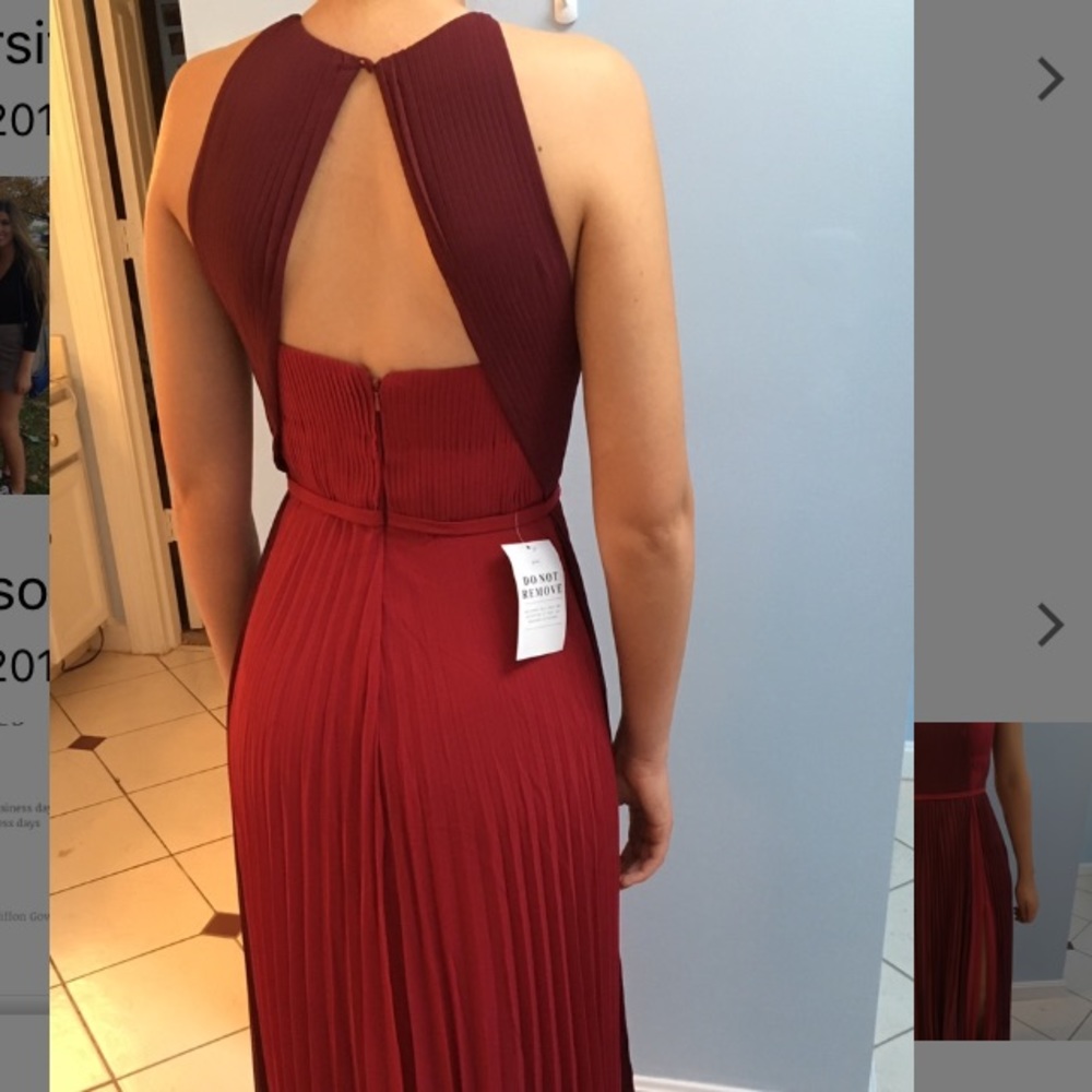 Burgundy Pleated Chiffon Gown - Picture 5 of 5